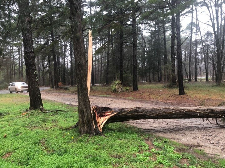 Storm damage